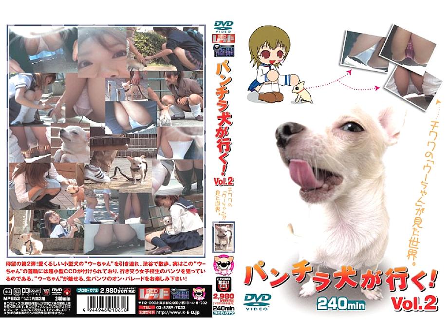 PUROD-072 Panchira dog goes! Vol.2